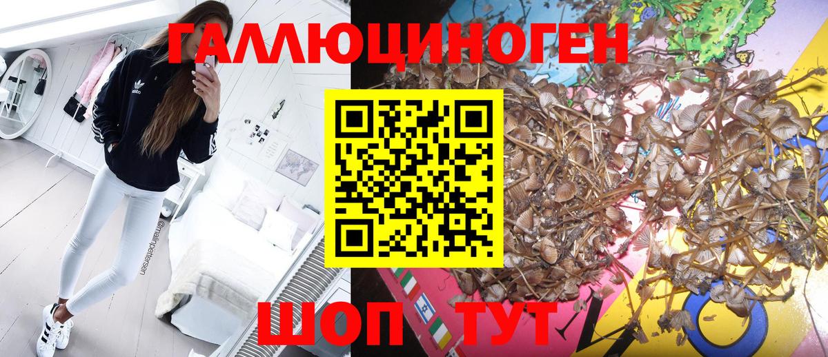 Галлюциногенные грибы GOLDEN TEACHER Пугачёв