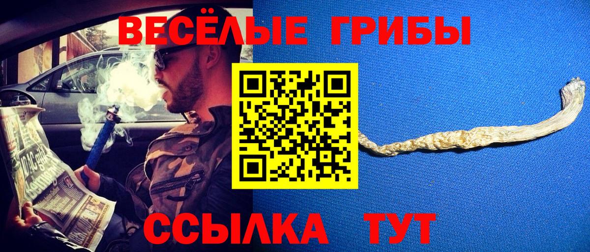Пугачёв  Псилоцибиновые грибы прущие грибы  Вход с VPN 